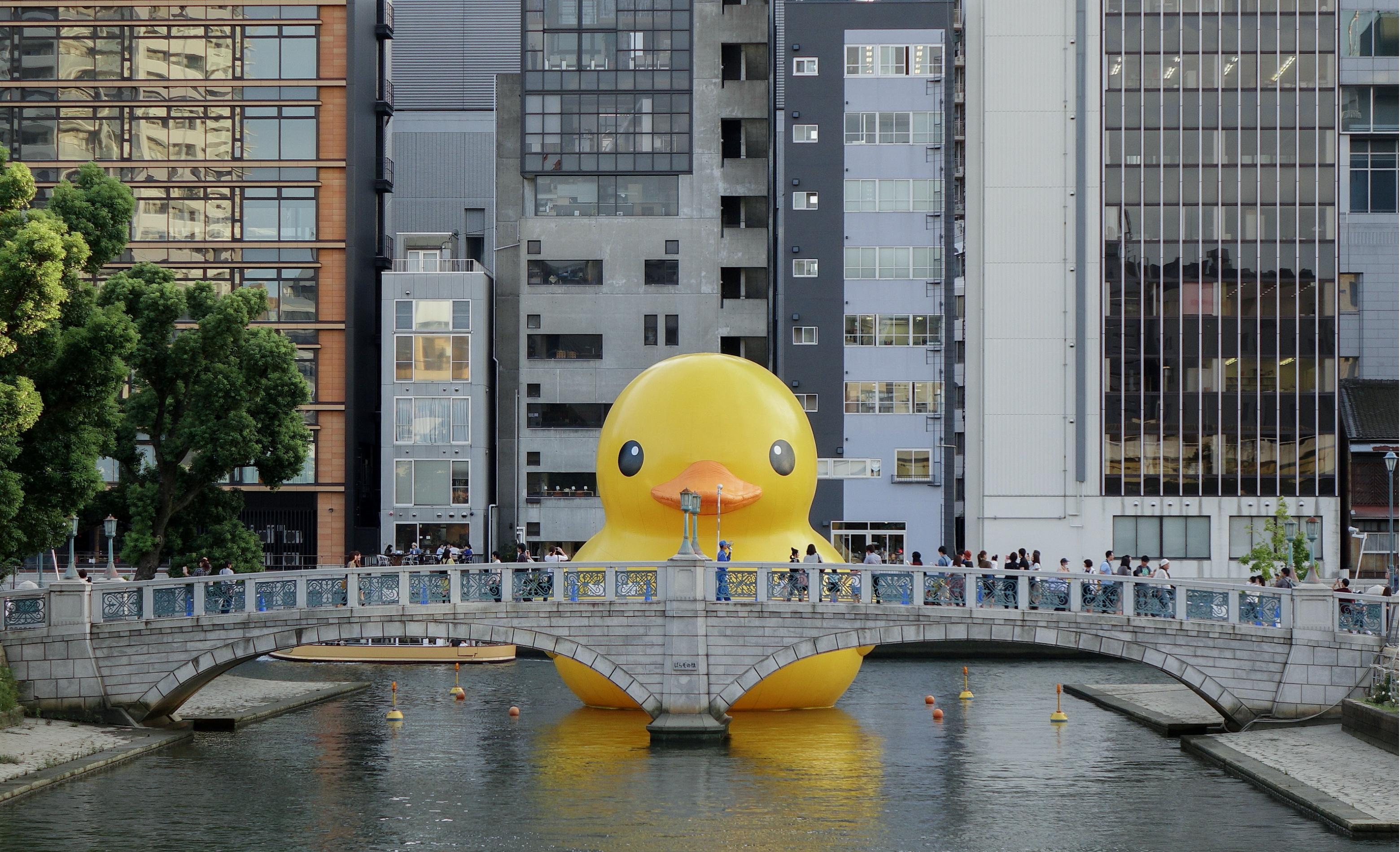 Rubber Duck